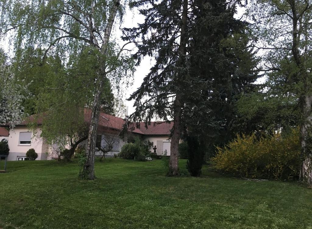 Schoene Ferienwohnung 2,5 Zimmer In Stadtnaehe Mit Eigenem Hofgarten Balingen Luaran gambar