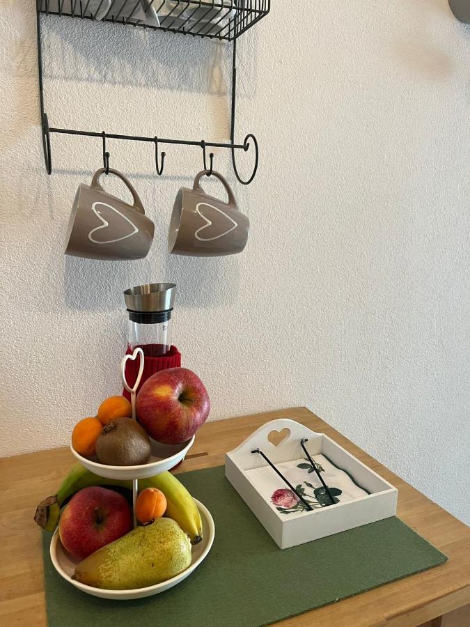 Schoene Ferienwohnung 2,5 Zimmer In Stadtnaehe Mit Eigenem Hofgarten Balingen Luaran gambar